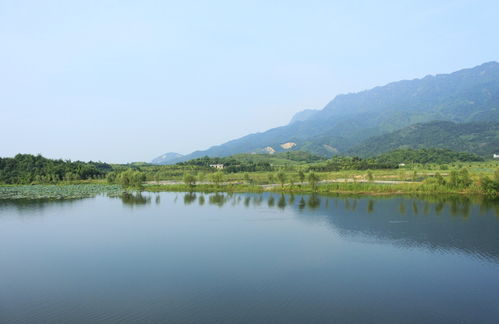 重庆大足天气预报一周 7天，重庆大足天气预报2345