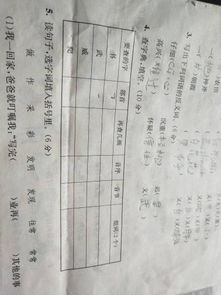 杉部首，桂部首