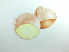 达芬奇画鸡蛋这个故事给你了哪些启发?