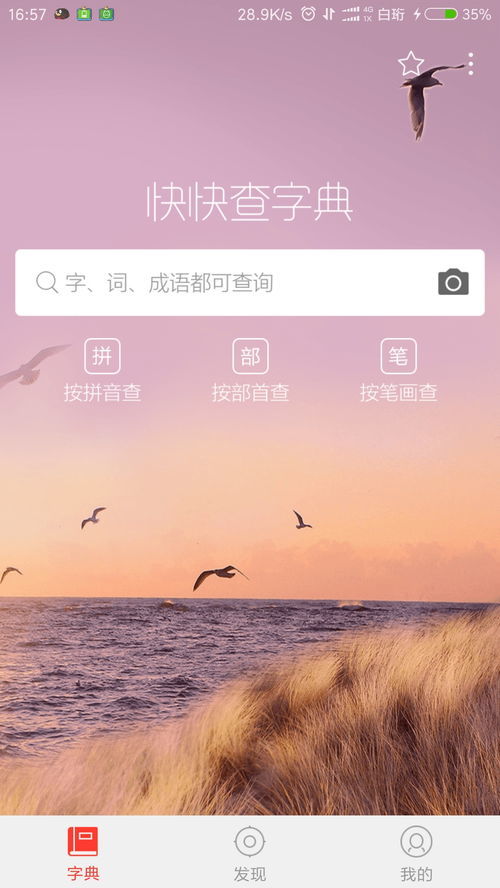 新华字典在线手写查字拼音怎么写，新华字典在线手写查字亓