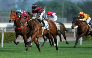 厉兵秣马是什么意思 厉兵秣马的意思