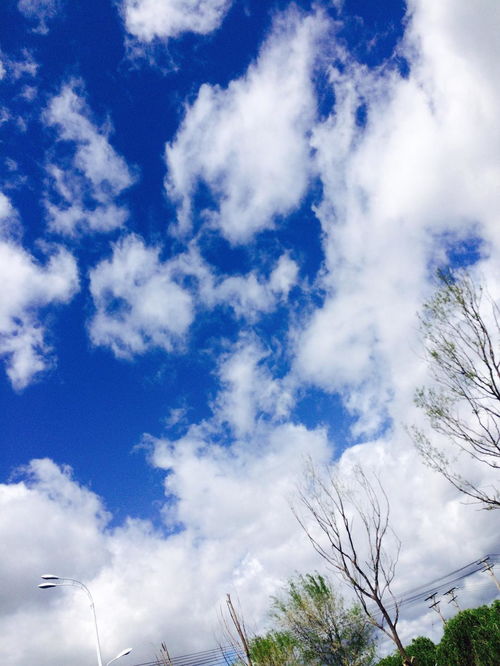 金猴奋起千钧棒,玉宇澄清万里埃。