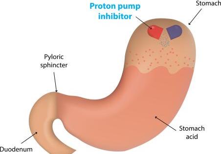 多得多,少得多,多一些,少一些数学题，多得多拼音