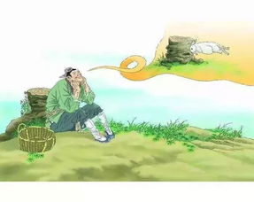 宋人有耕者,田中有株,兔走触株,折颈而死。因释其耒而守株,冀复得兔