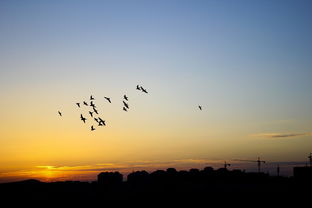 归宿是代表啥意思，归宿的短句