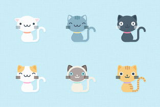 kitties有什么其他的含义