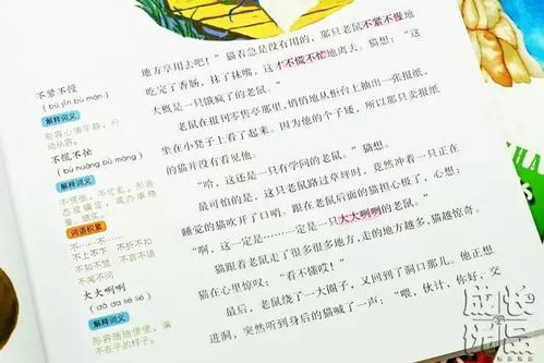 注字可以组什么词