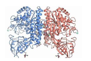 抗坏血酸化学有什么作用