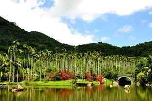 呀诺达和亚龙湾森林公园哪个好玩，呀诺达热带雨林和亚龙湾森林公园