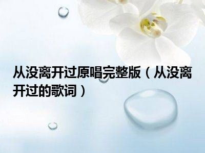 没离开过歌词含义，没离开过歌词林志炫黄霄云