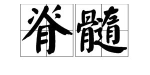 脊的拼音笔顺，脊梁的拼音