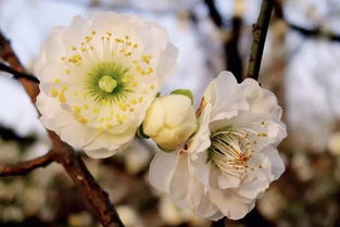 古代台阁相当于现在是什么官