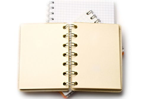 另组词二年级上册组词，另组词100个