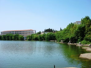 扎佐动物园门票预订，扎佐野生动物园门票是多少