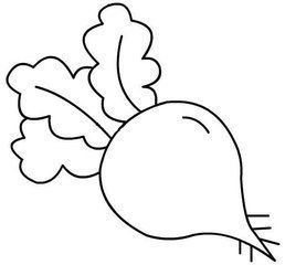 简单胡萝卜简笔画画法