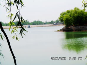 关于春景诗句大全