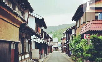 美浓烧，美浓轮泰史