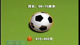 足球相关知识有哪些?