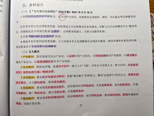 关于乡村振兴的作文600字，关于乡村振兴的作文800