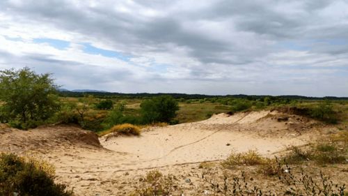 浑善达克沙地收费吗