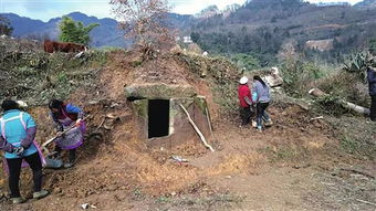 官田晖将，官田学校