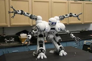 你对未来机器人有什么期待吗?