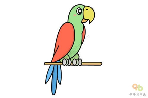 鹦鹉怎么画简单又好看