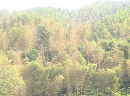 上山的成语上山的成语是什么