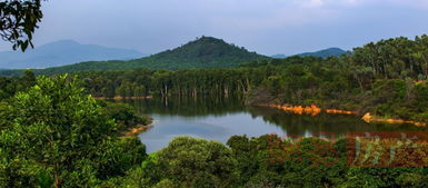尖岗山万科都会四季花园，尖岗山壹号房价