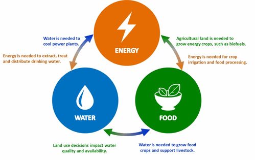 这个英语单词 energy 怎么发音