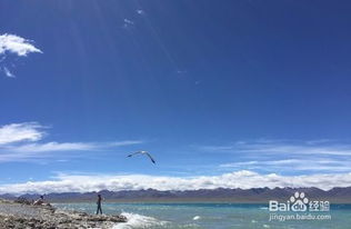 腾格里沙漠在哪里，腾格里沙漠简介