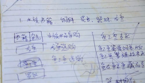 嵌的组词和部首，巅的组词是什么