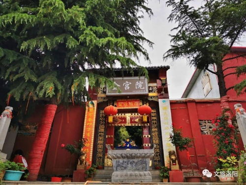 《游戏王:决斗链接》金宫上王卡组玩法攻略