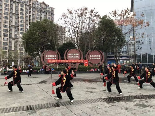 巨门村位于哪个区