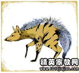 带动物的成语有哪些?