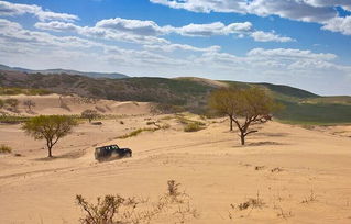浑善达克沙地简介，浑善达克沙地地图