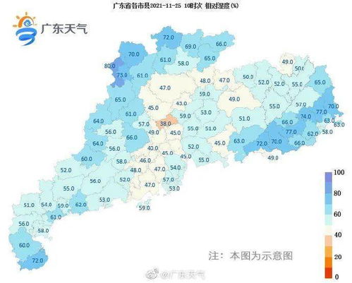 广东省茂名市茂南区天气，茂南区的天气预报