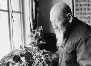 上海本土艺术文化:浦东说书