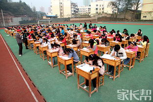 我眼中的学校作文480字左右