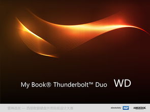 glare at，glare翻译