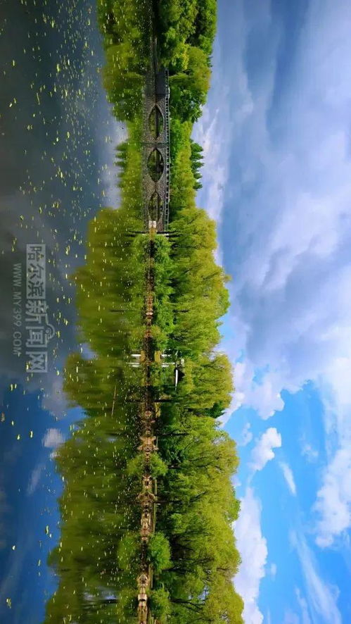 好像的意思解释