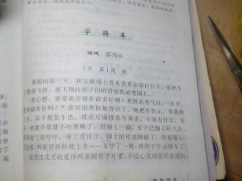 我学会了什么作文400字左右五年级