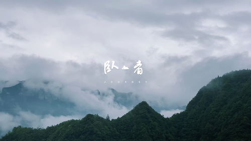 卧看满天云不动不知云与我俱东哲理，卧看满天云不动打一动物