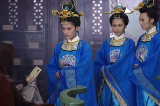 大唐女巡按电视剧百度百科，大唐女巡按电视剧全集百度云