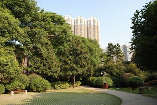 桂花公园在哪里，桂花公园要门票吗