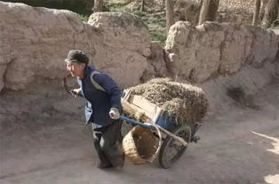 打场的场读几声，打场的视频