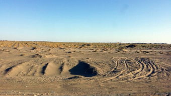 “戈壁滩”是什么意思?