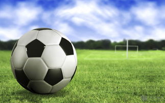 关于足球的知识有哪些内容，关于足球的知识英文