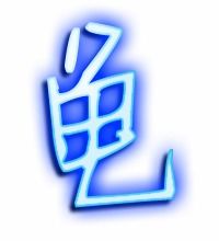 乌龟的龟的笔顺怎么写