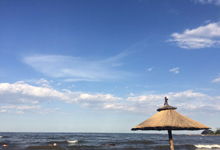 昌黎县今夜到明天天气预报